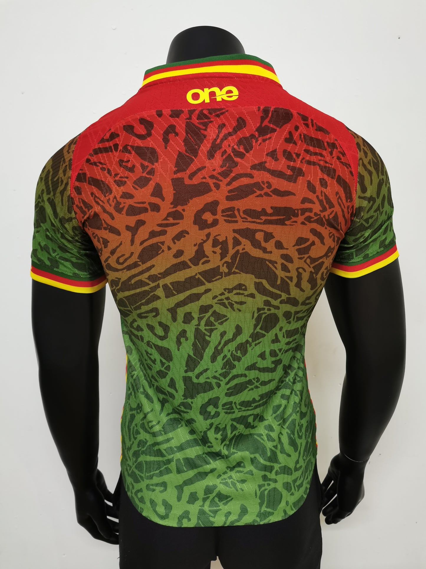 Kamerun Trikot Auswärts 23/24