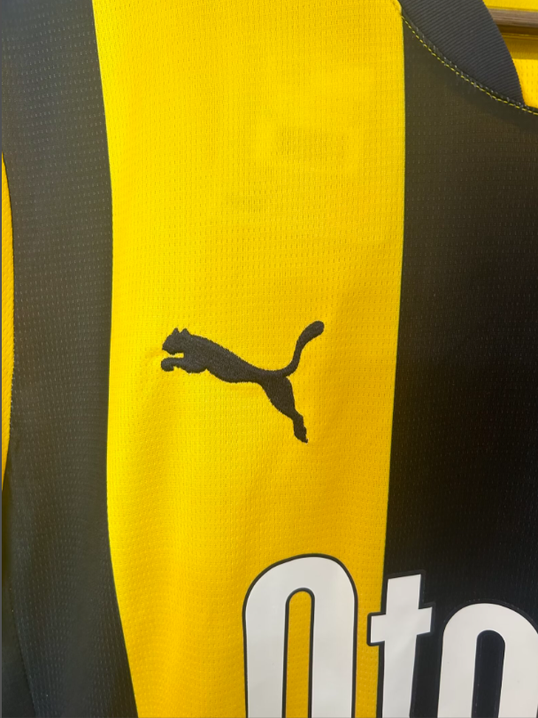 Fenerbahce Trikot Heim 25/26
